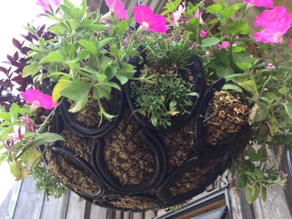 HANGING BASKET - UNIQUE - MADE FROM HORSESHOES